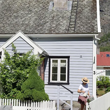 בית נופש Veslegarden